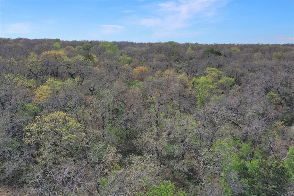 44-acres Slusher Road Jacksboro, TX 76458 - Photo 8 of 34