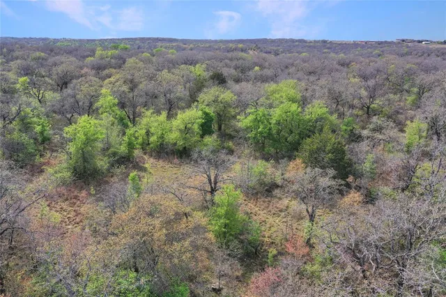 $550,000 | 44-acres Slusher Road, Jacksboro, TX 76458