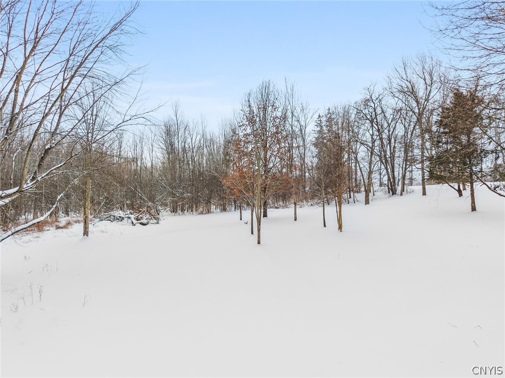 6982 Webster Road Auburn, NY 13021 - Photo 32 of 34