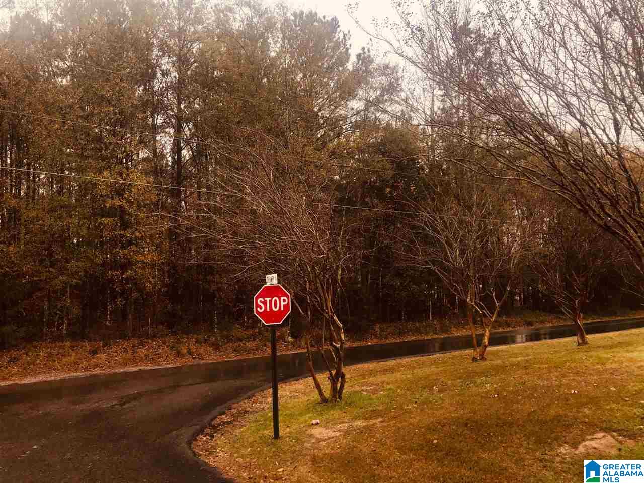 0 Kirby Road, Unit 2 2 Oxford, AL 36203 - Photo 6 of 8