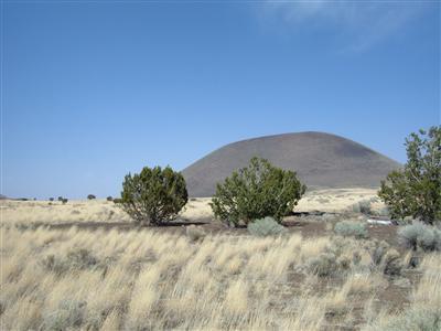 25 Central Alpine Ranch Flagstaff, AZ 86004 - Photo 1 of 2 Primary Photo
