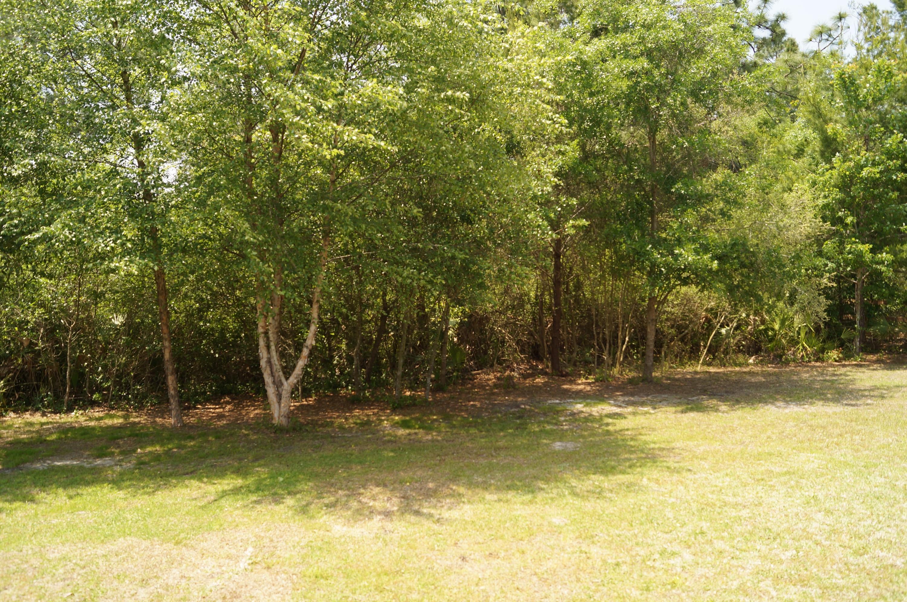2429 Valley Road Navarre, FL 32566 - Photo 4 of 31 a view of a swimming pool with some trees