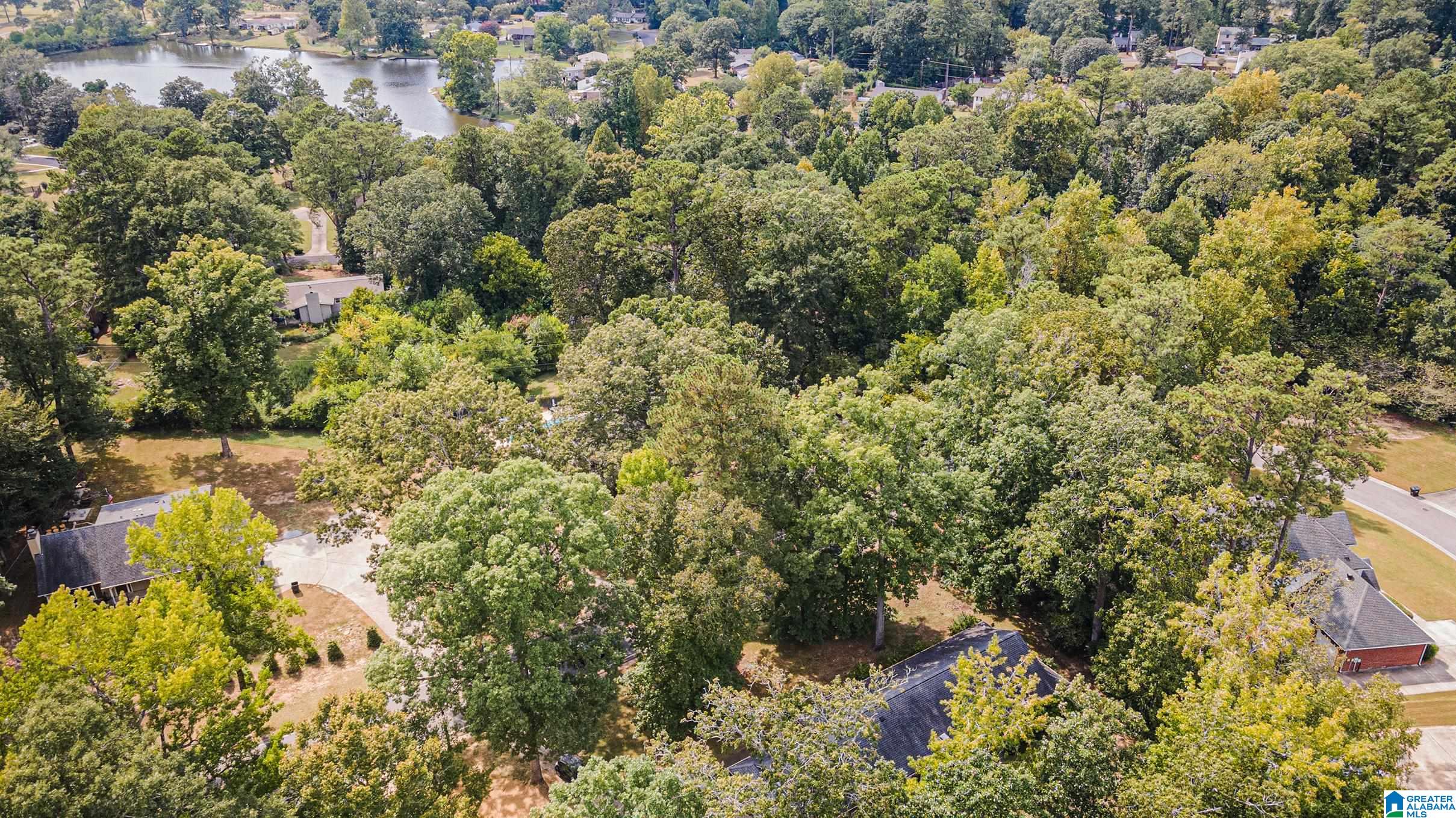 4231 Camp Horner Road Birmingham, AL 35243 - Photo 3 of 40