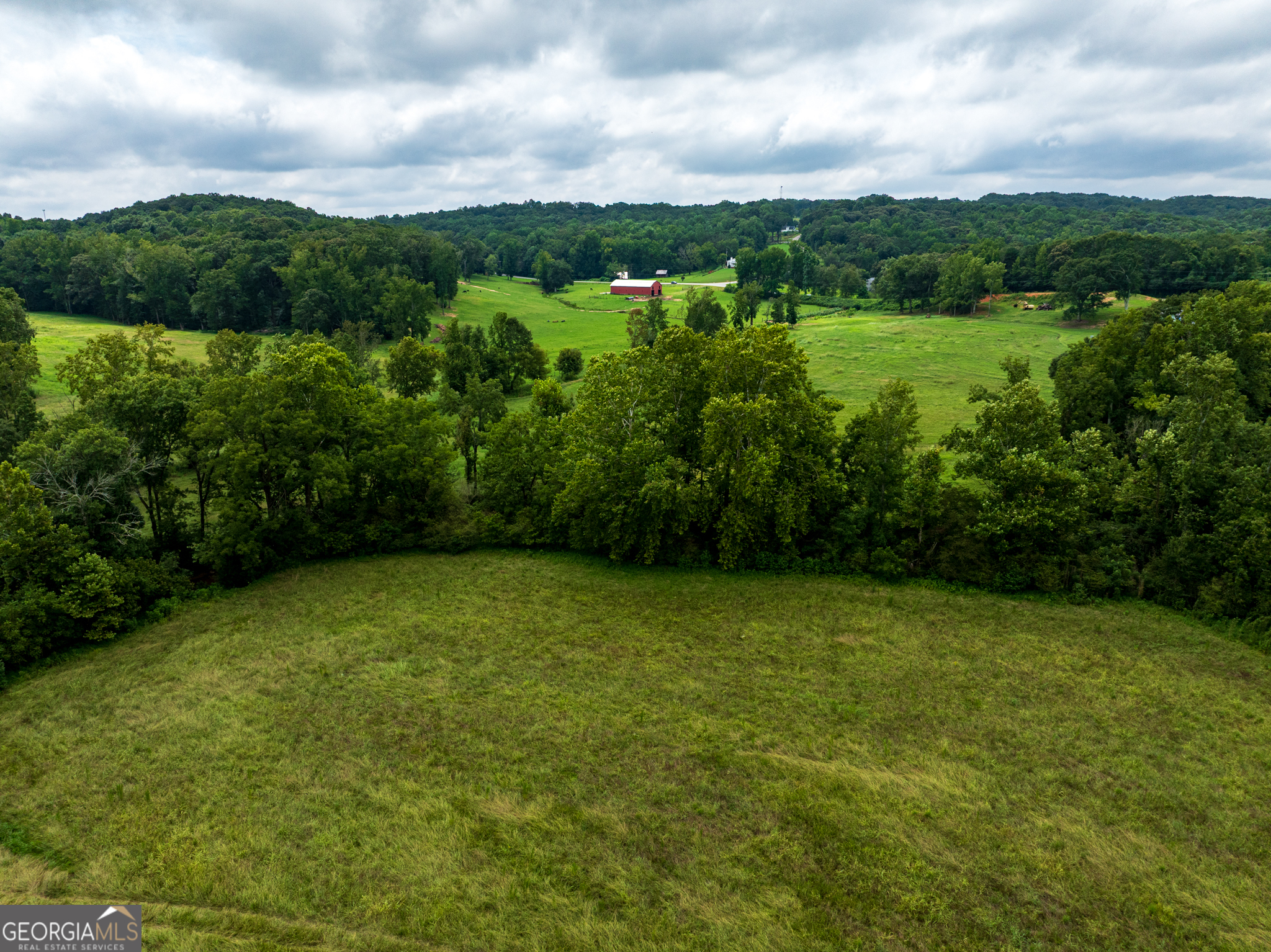 8.2-acres Roy Parks Road Talmo, GA 30575 - Photo 11 of 22