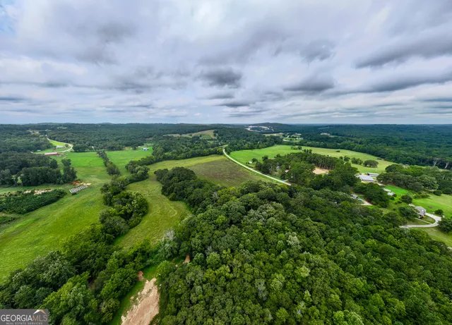 a view of a forest filled with trees