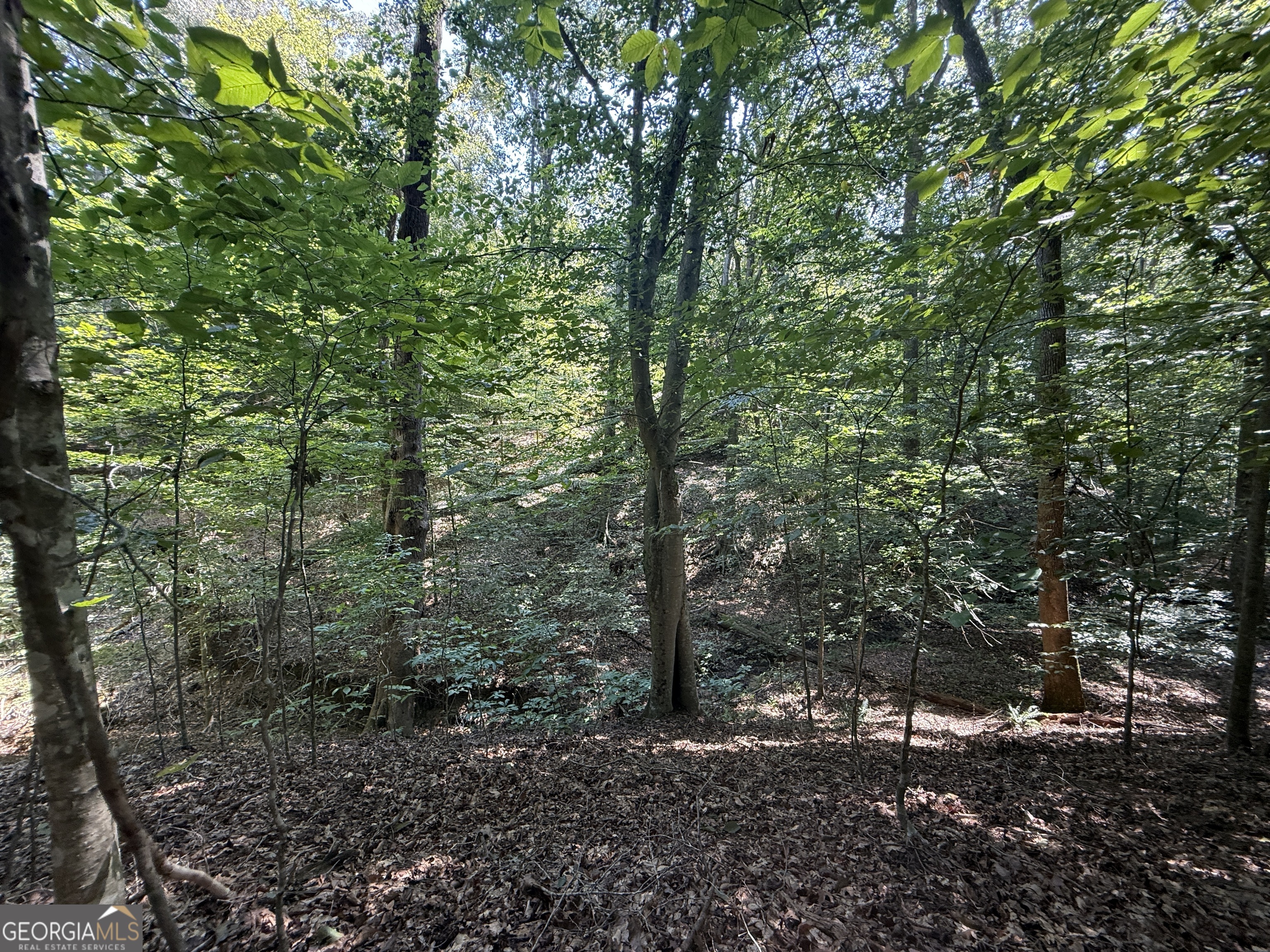 8.2-acres Roy Parks Road Talmo, GA 30575 - Photo 16 of 22