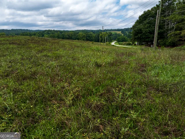 a view of grassy field with trees