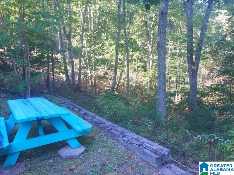 507 Northwest 19th Street Fort Payne, AL 35967 - Photo 43 of 50