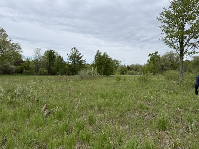 8468 East Pierce Road Hesperia, MI 49421 - Photo 8 of 8 IMG_3035