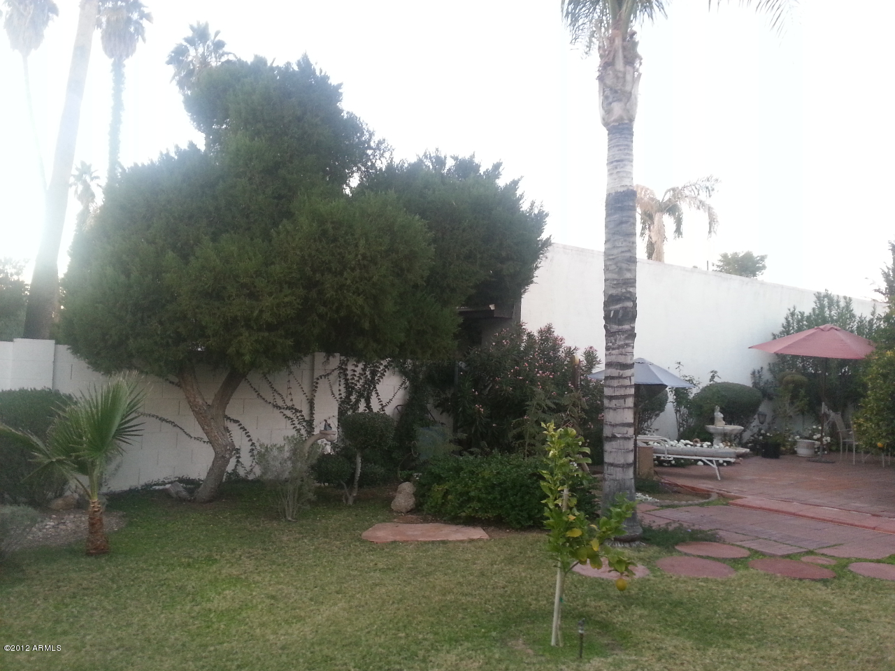 531 East Boca Raton Road Phoenix, AZ 85022 - Photo 25 of 26 Back Yard.. 20121212_172142
