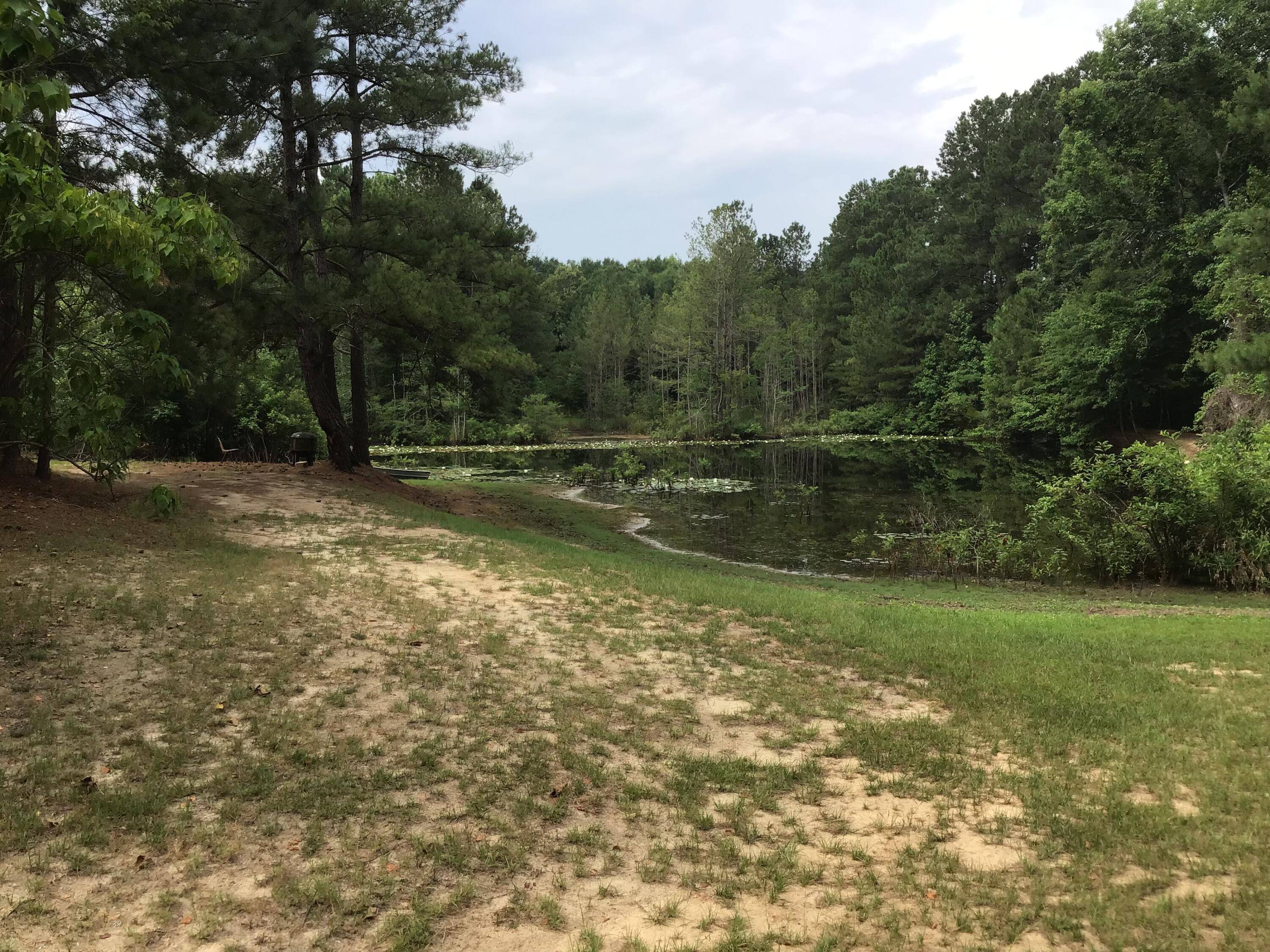 47 Peele Road Salley, SC 29137 - Photo 53 of 95