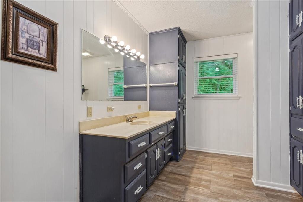 221 County Road 157 Riesel, TX 76682 - Photo 14 of 30 Full bath with wood finished floors, vanity, baseboards, a decorative wall, and a textured ceiling