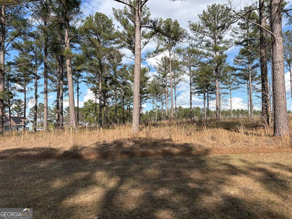 600 Thompson Level Road Lyons, GA 30436 - Photo 4 of 4