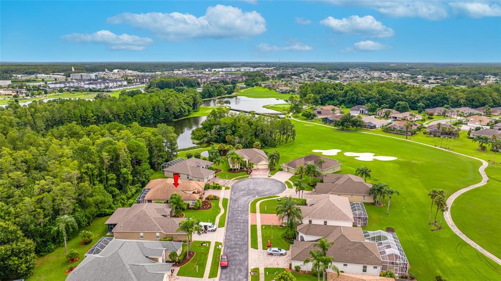 11421 Strathaven Court Trinity, FL 34655 - Photo 64 of 91 Gallery Image 64