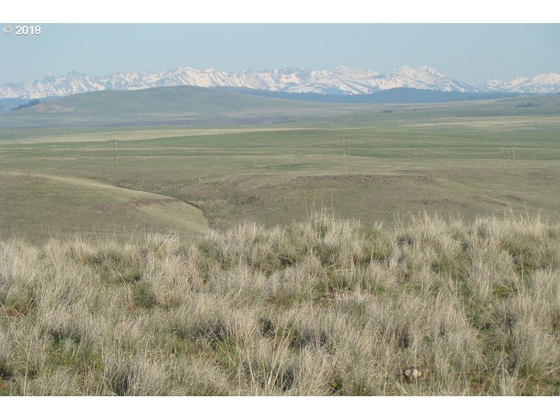 66461 Eagle View Lane Enterprise, OR 97828 - Photo 2 of 2