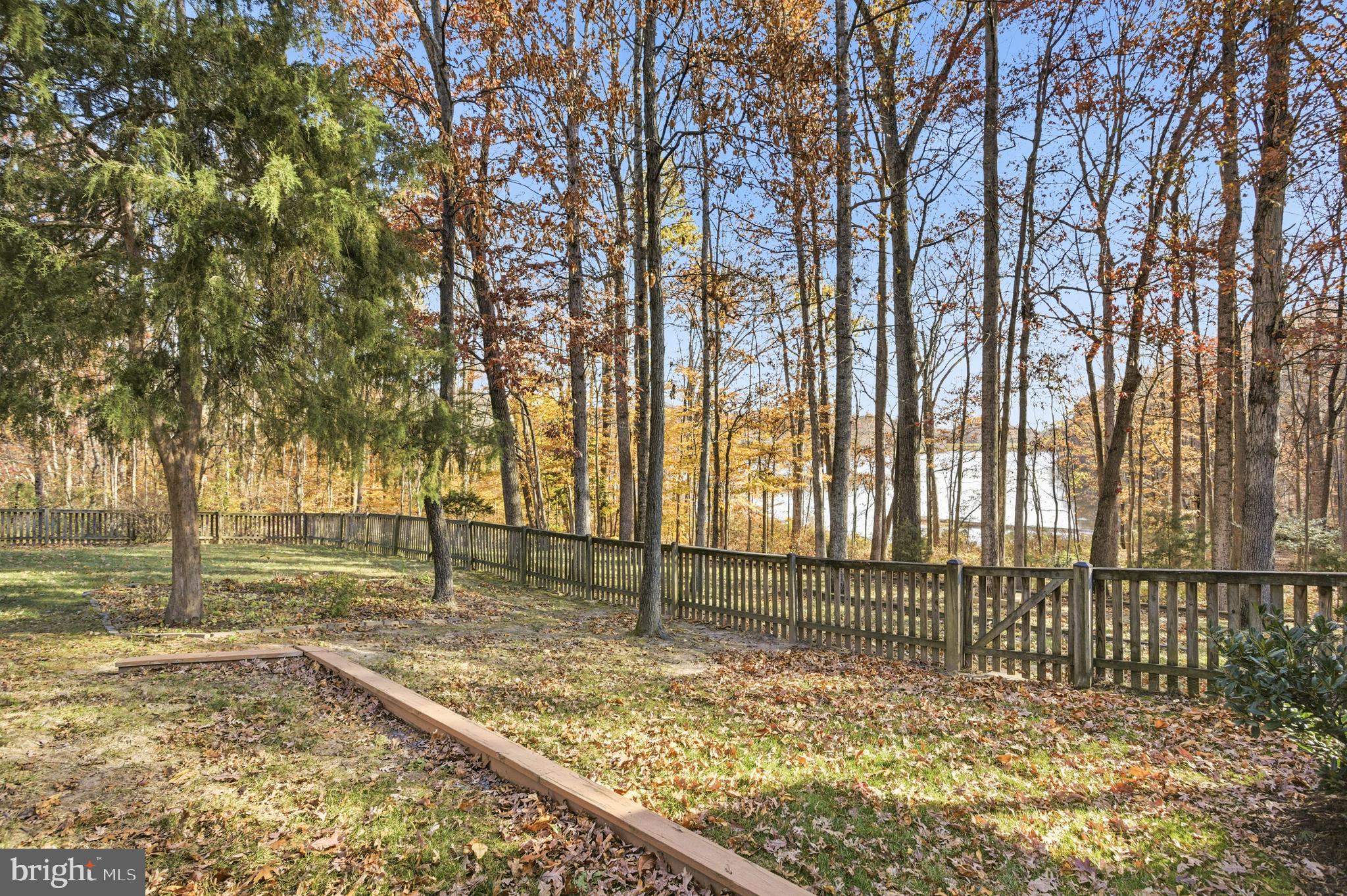 7400 Dorothy Court Springfield, VA 22153 - Photo 36 of 54