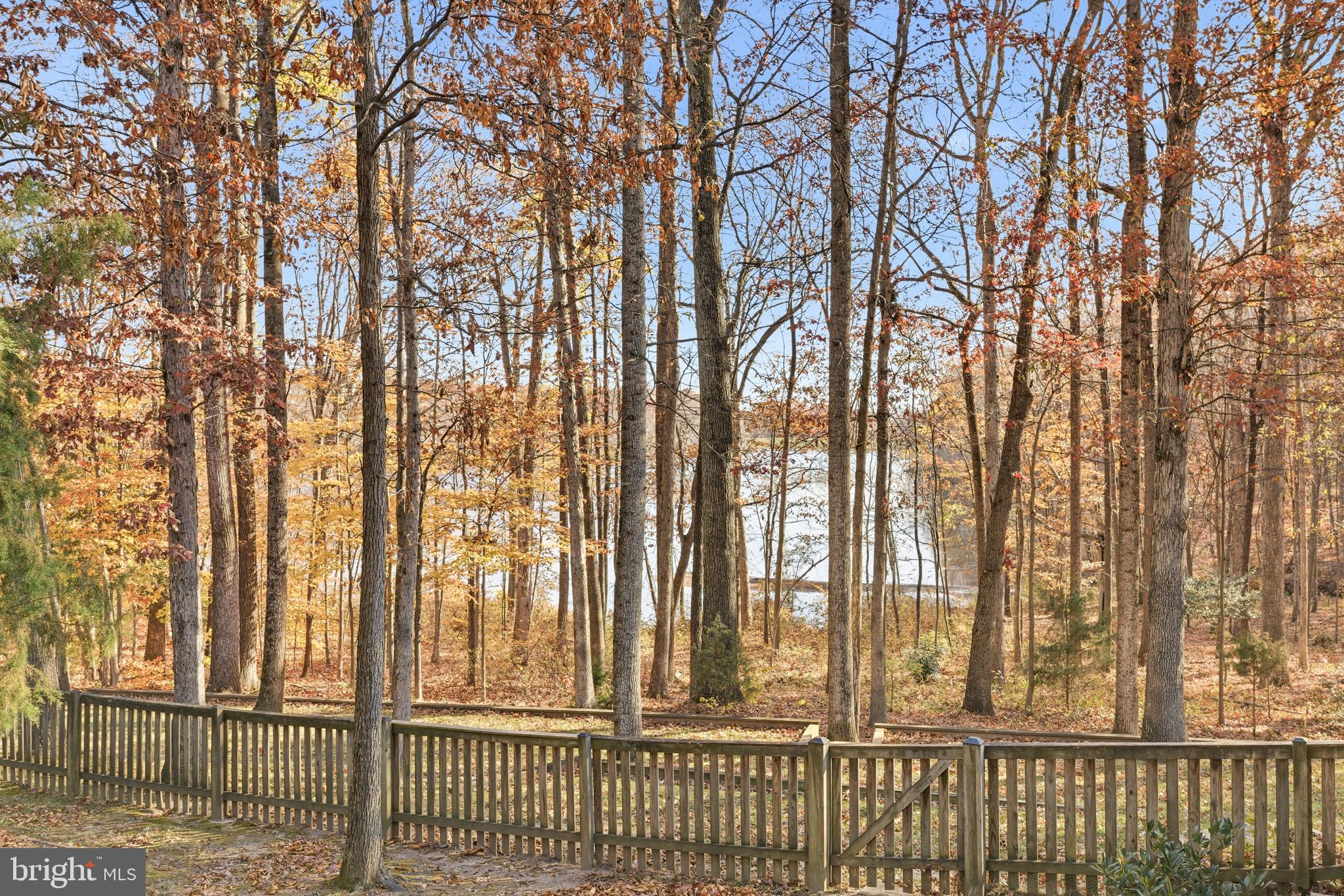 7400 Dorothy Court Springfield, VA 22153 - Photo 47 of 54