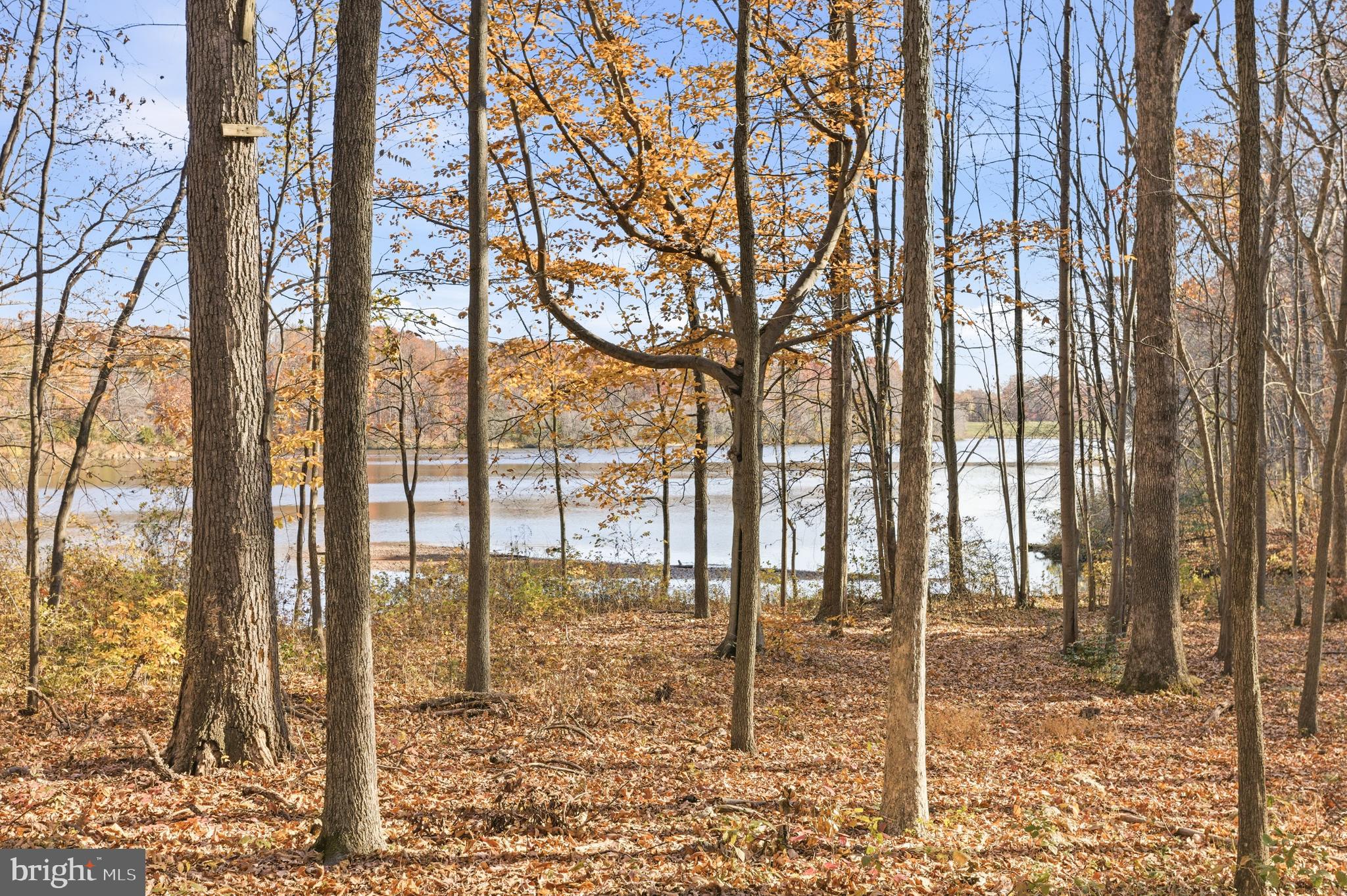 7400 Dorothy Court Springfield, VA 22153 - Photo 50 of 54 a view of outdoor space