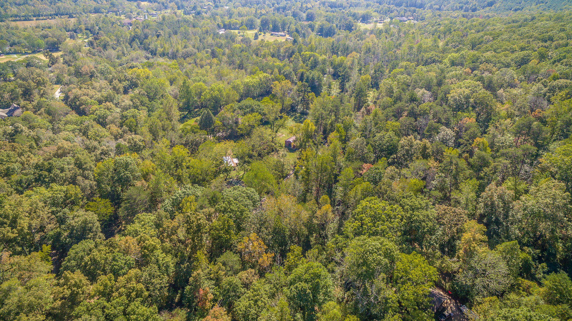 46.77 Roberts Mill Road, Unit 47 ACRES Signal Mountain, TN 37377 - Photo 3 of 14 902 Roberts Mill Road-13