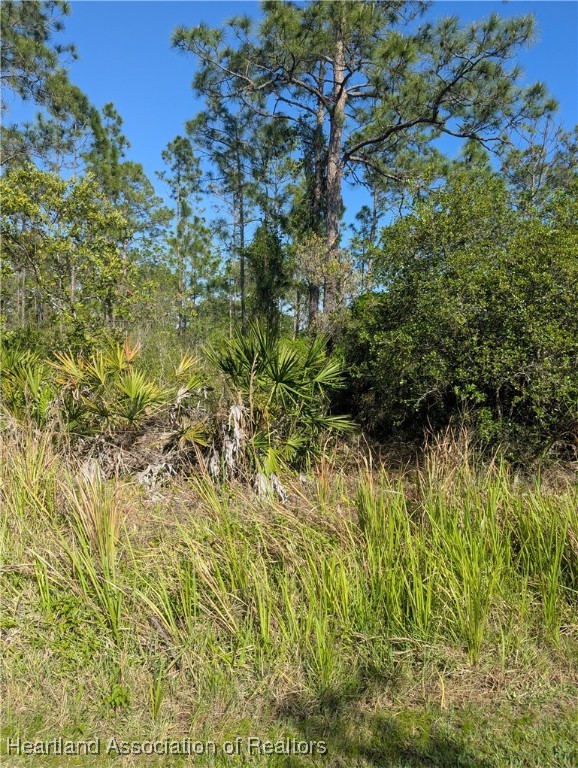 4914 Lime Road Sebring, FL 33875 - Photo 1 of 3 Gallery Image 1