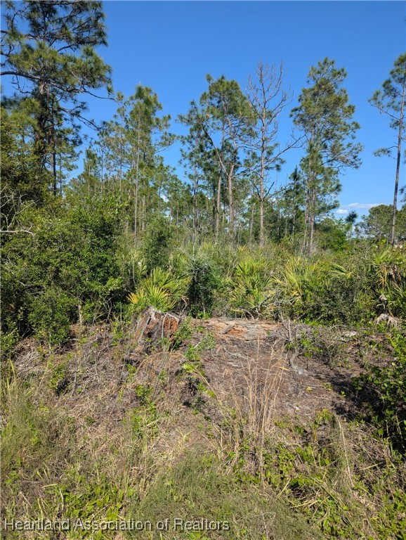 4914 Lime Road Sebring, FL 33875 - Photo 3 of 3 Gallery Image 3