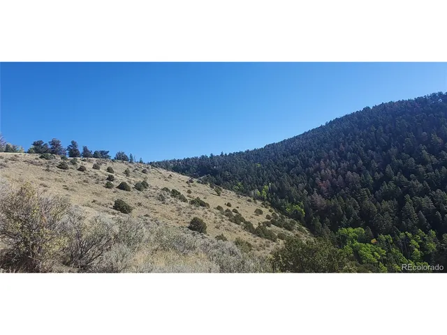a view of a dry yard with trees