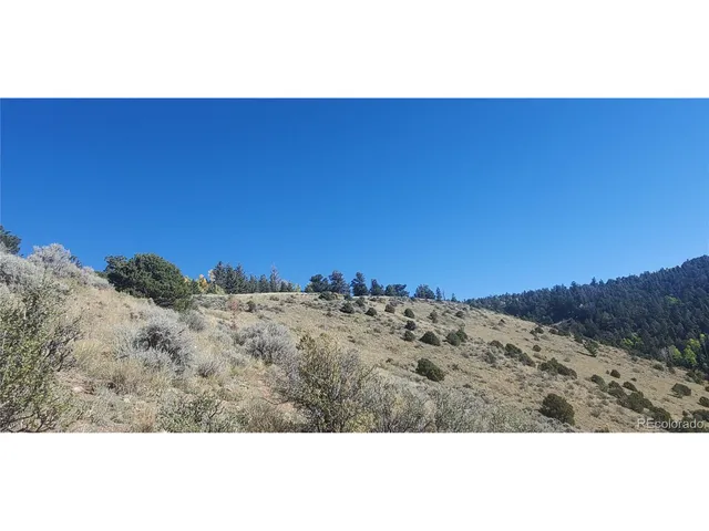 a view of a couches in a backyard
