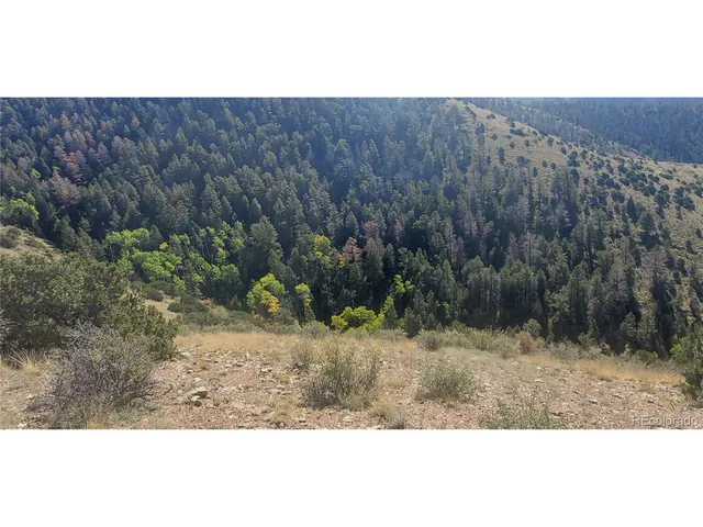 a view of a dry yard with mountain in the background