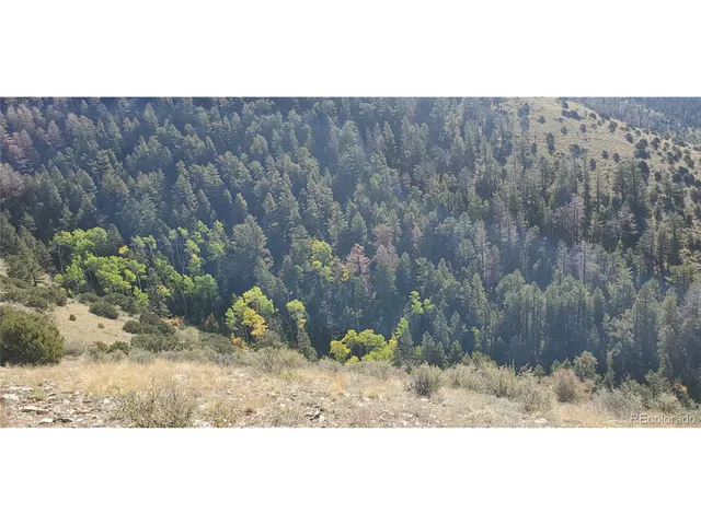 a bathroom with a shower curtain