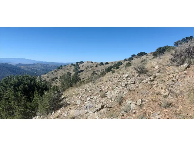 a view of a dry yard