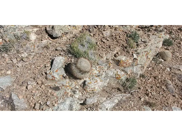 a black and white photo of a painting