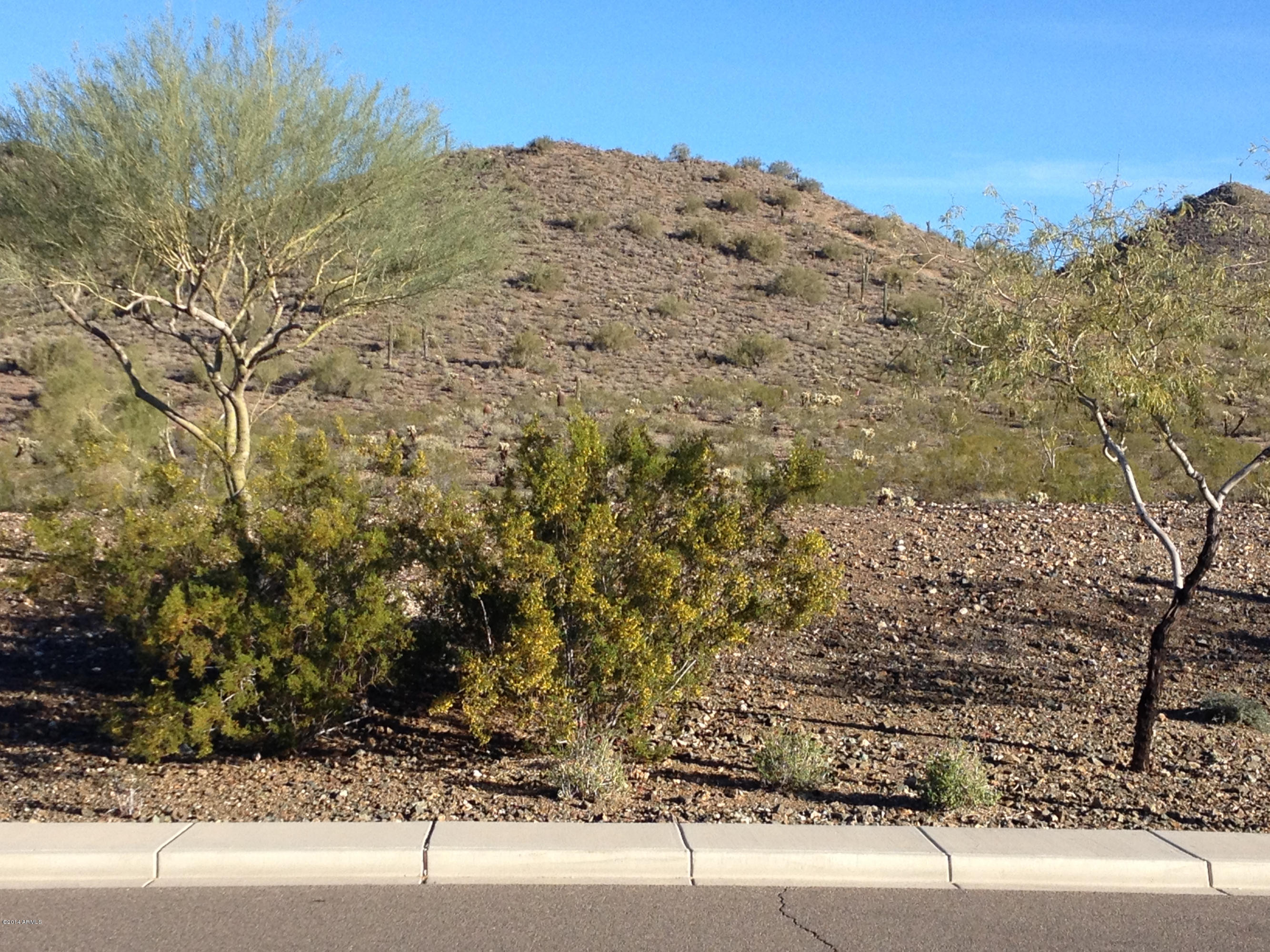 1819 West Red Fox Road Phoenix, AZ 85085 - Photo 41 of 56 Neighbors accross the Street