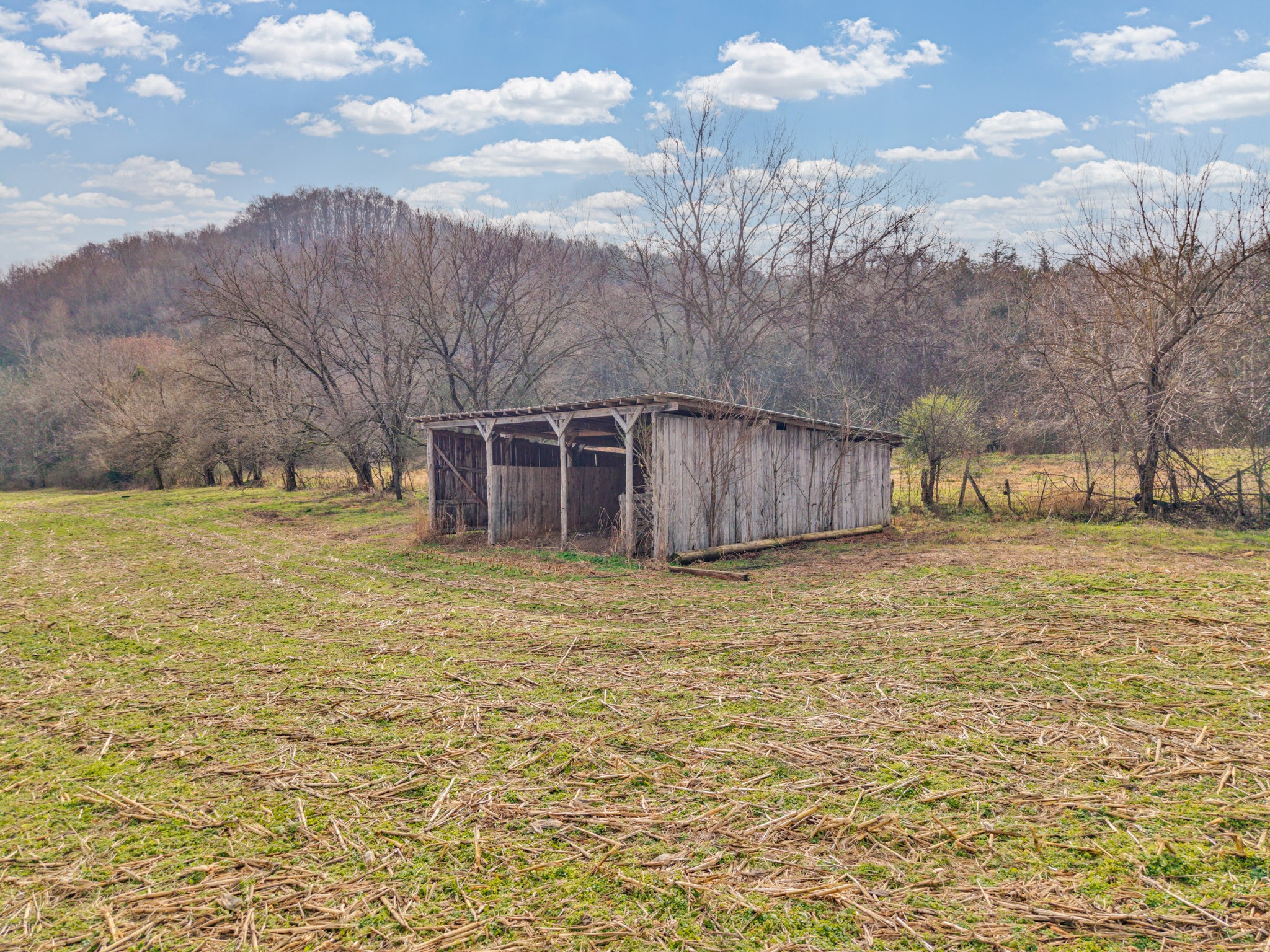 0 East Dry Fork Road Granville, TN 38564 - Photo 1 of 17 a backyard of a house