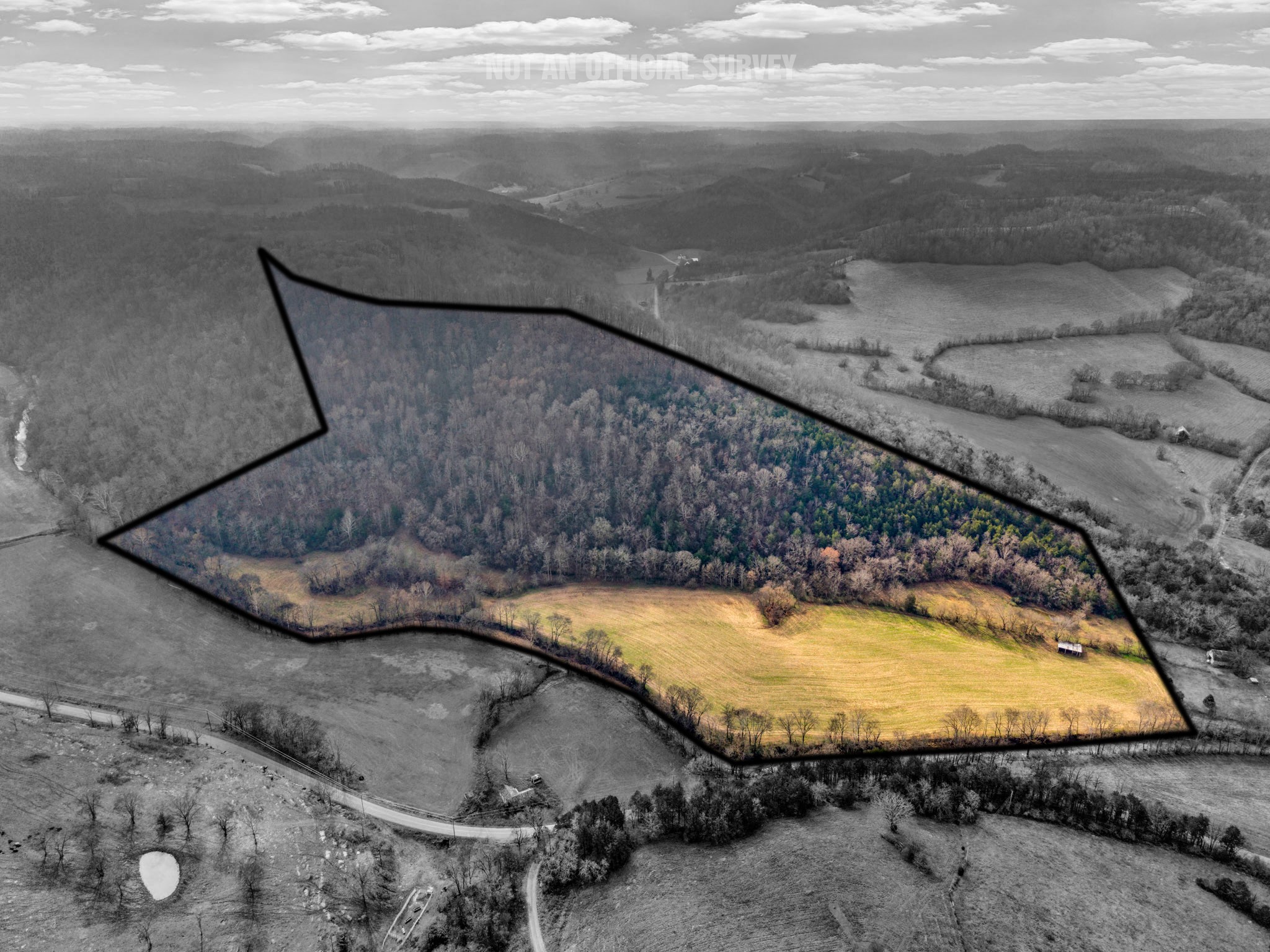 0 East Dry Fork Road Granville, TN 38564 - Photo 16 of 17 a view of a swimming pool