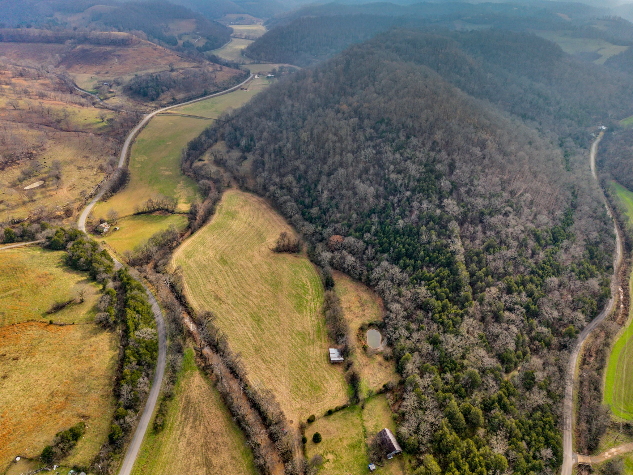 0 East Dry Fork Road Granville, TN 38564 - Photo 17 of 17 a view of swimming pool