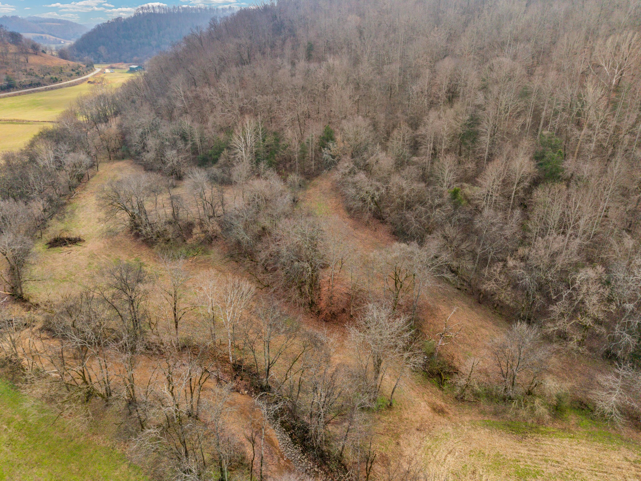 0 East Dry Fork Road Granville, TN 38564 - Photo 5 of 17 a view of a forest with large trees