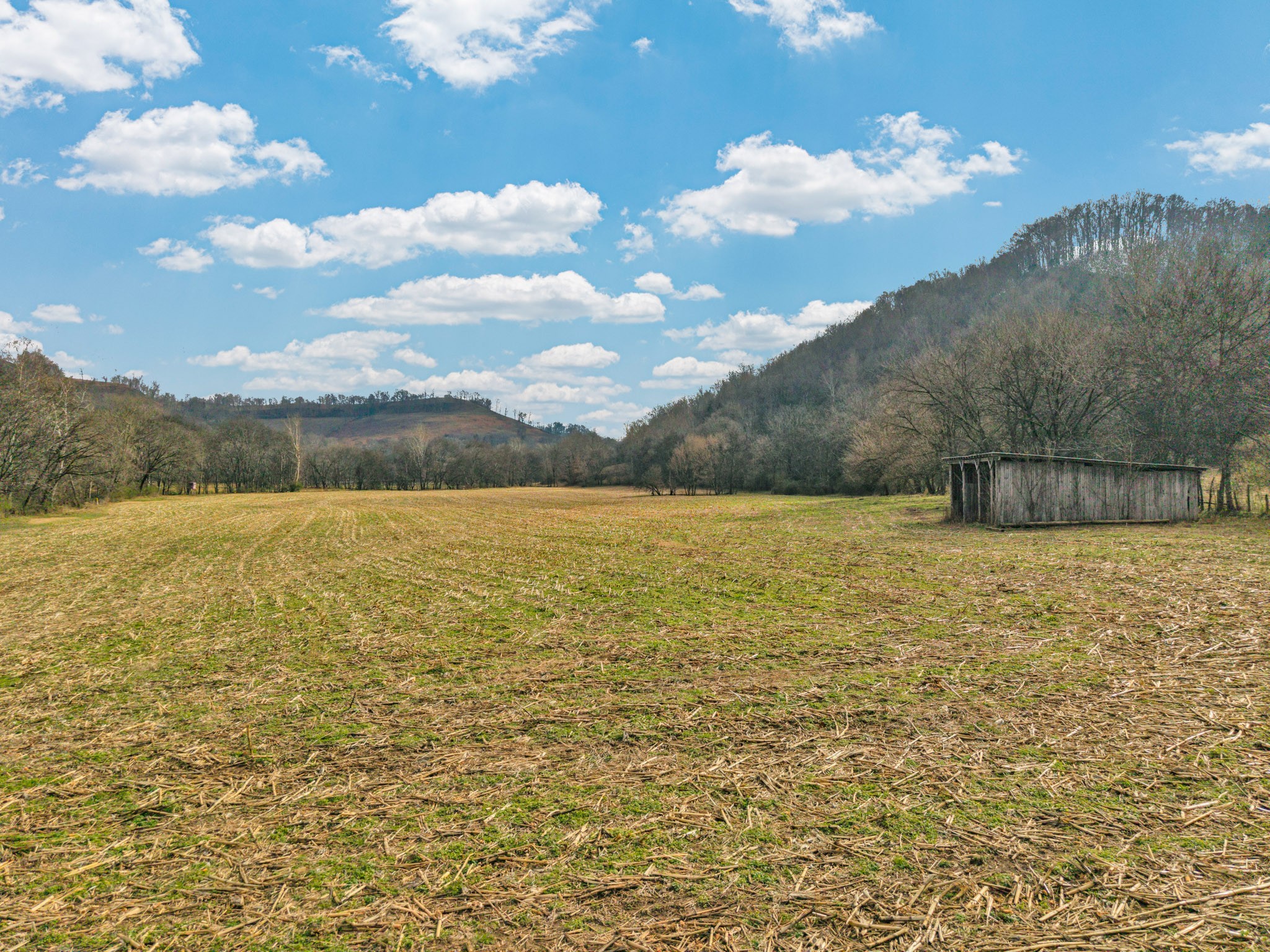 0 East Dry Fork Road Granville, TN 38564 - Photo 7 of 17 a view of an ocean