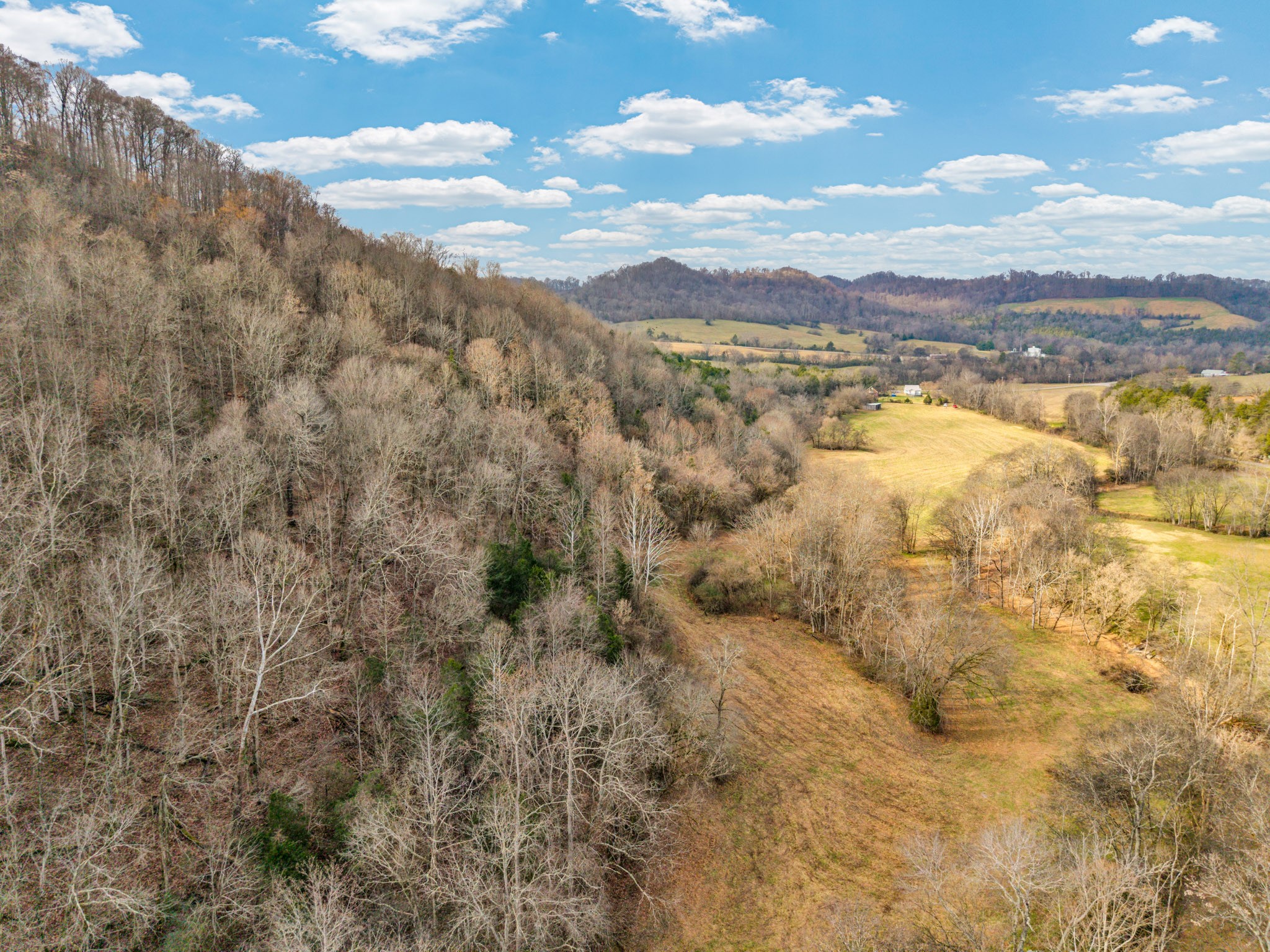 0 East Dry Fork Road Granville, TN 38564 - Photo 8 of 17 a view of lake view and mountain