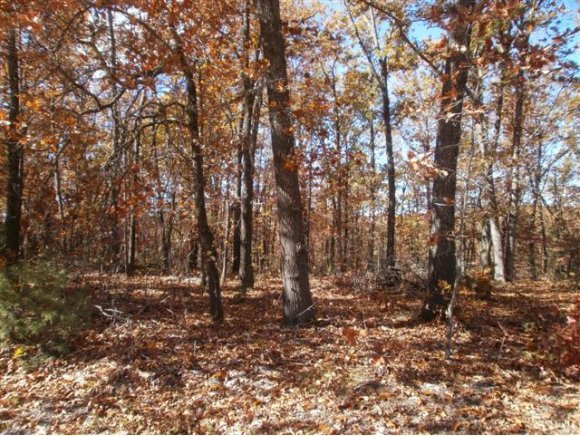9 & 10 Ozark Road Ridgedale, MO 65739 - Photo 1 of 1 Primary Photo