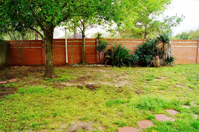 a view of a backyard