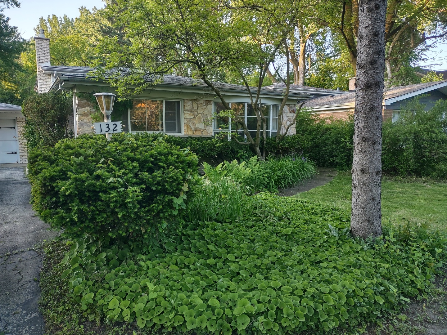 132 Glenview Road Glenview, IL 60025 - Photo 3 of 26