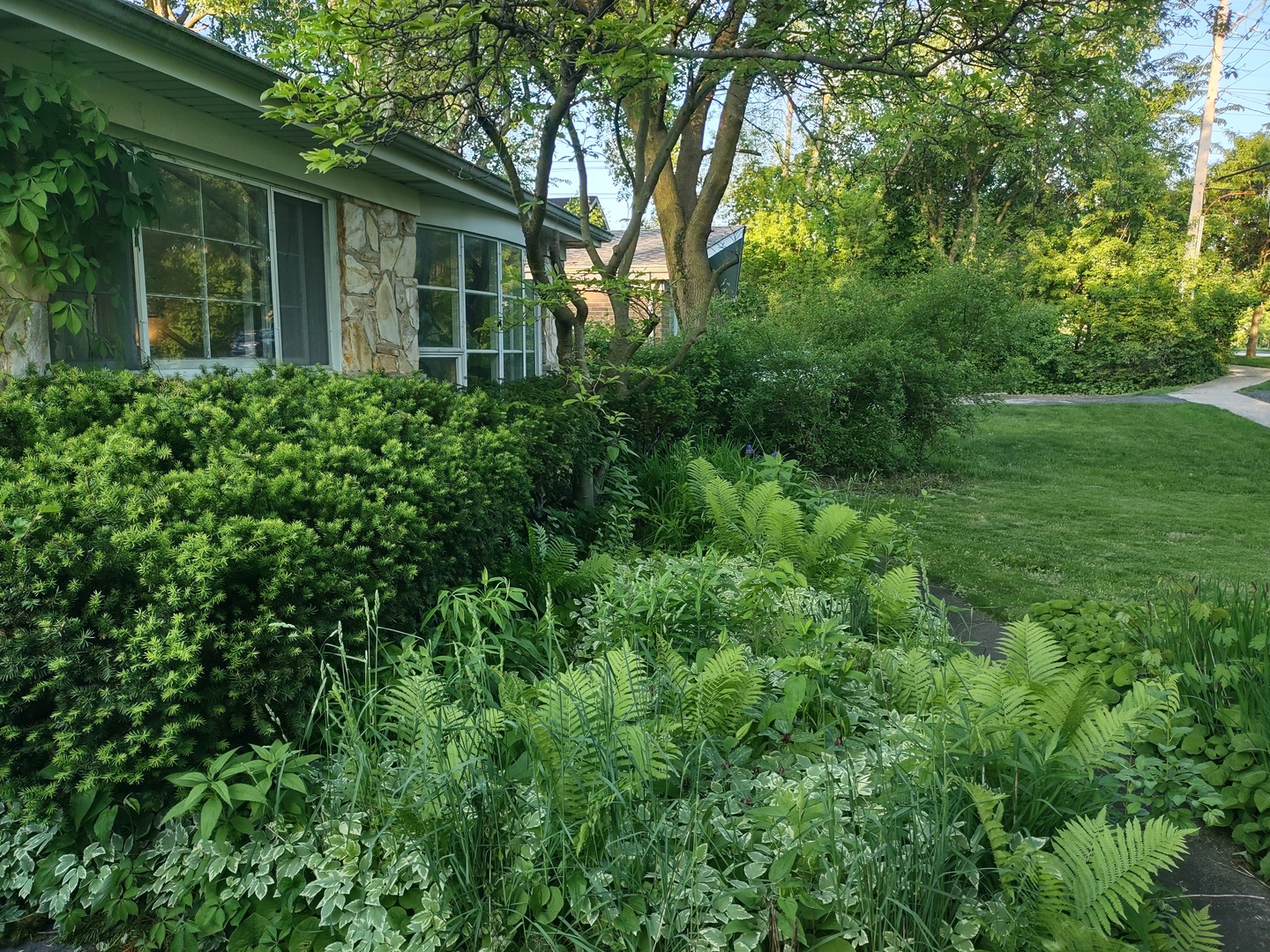 132 Glenview Road Glenview, IL 60025 - Photo 4 of 26