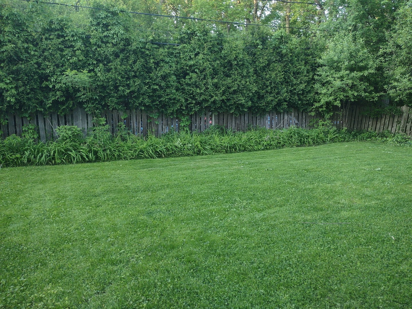 132 Glenview Road Glenview, IL 60025 - Photo 9 of 26