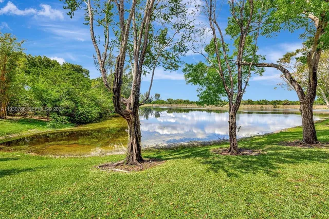 a view of a yard with a tree