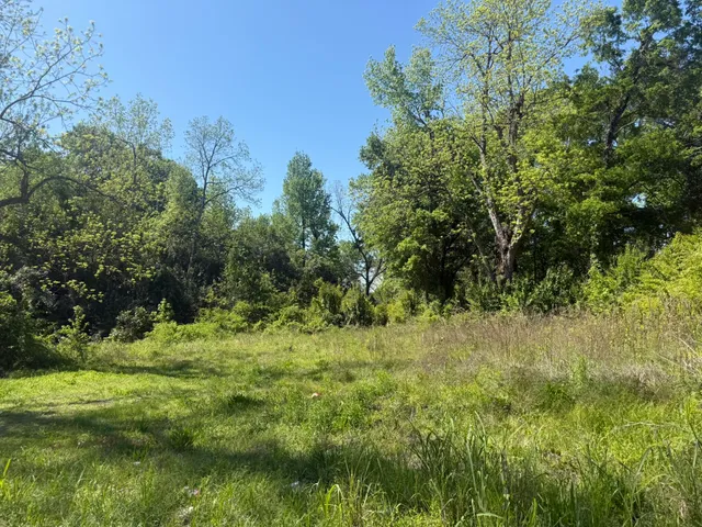 $22,500 | 411 Treadwell Street, Orangeburg, SC 29115