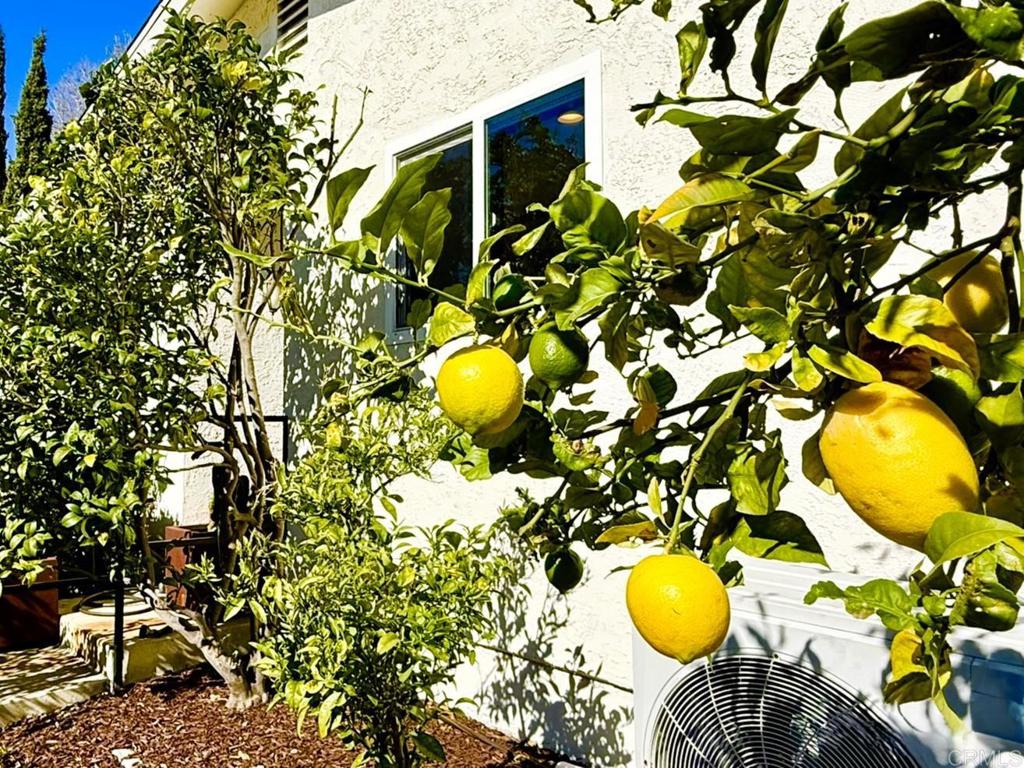 3743 Hickory Way Oceanside, CA 92057 - Photo 45 of 53