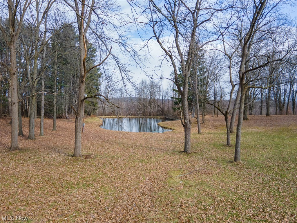 1784 Depot Road Salem, OH 44460 - Photo 30 of 32 View of yard with a water view