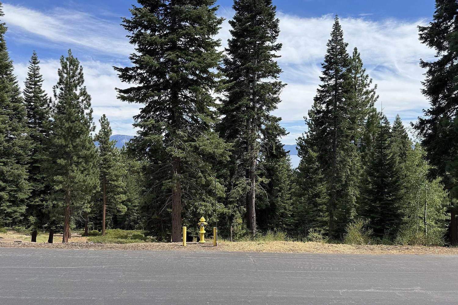 1359 Kings Way Tahoe Vista, CA 96148 - Photo 12 of 23 a view of a yard with a fountain and plants