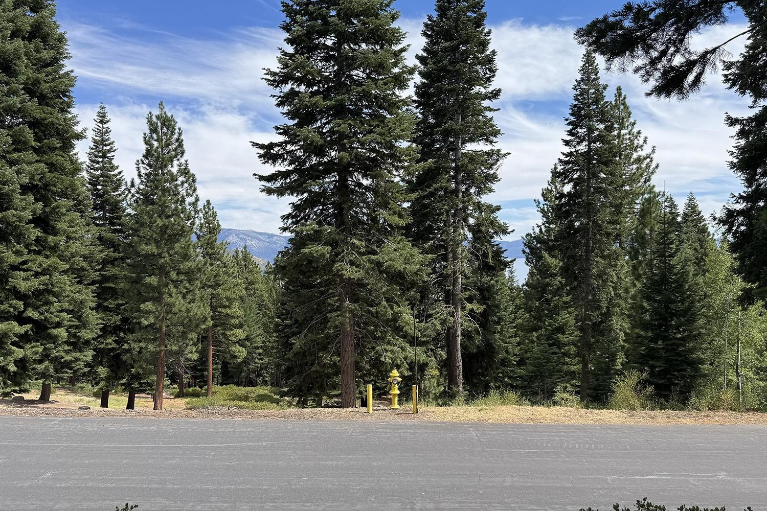 1359 Kings Way Tahoe Vista, CA 96148 - Photo 13 of 23 a view of swimming pool and trees