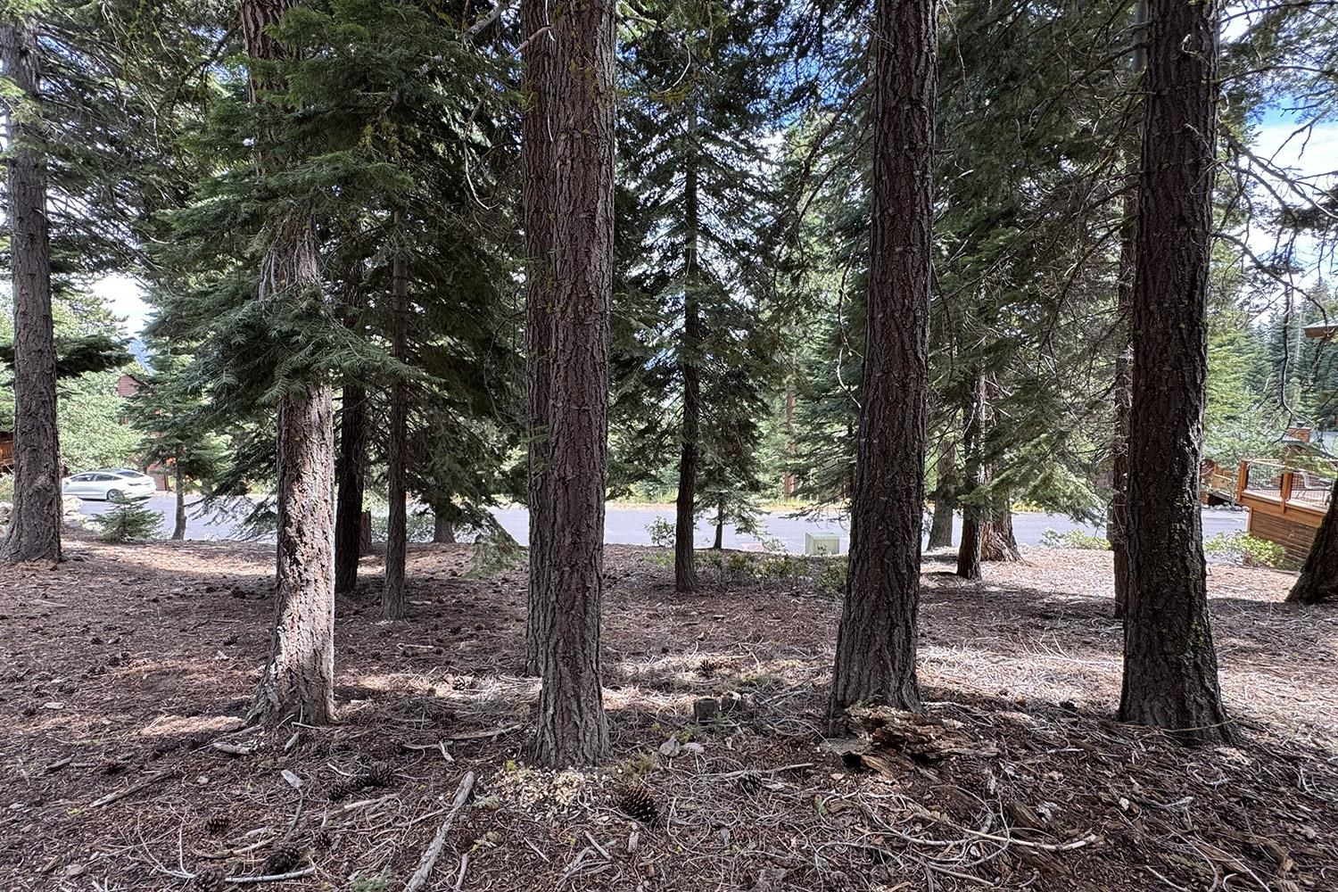 1359 Kings Way Tahoe Vista, CA 96148 - Photo 17 of 23 a view of a forest